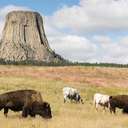 Devils Tower National Monument - WY