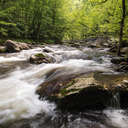 Little River - Great Smoky Mountains NP, TN