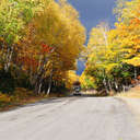 The Golden Road - Baxter SP, ME