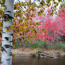 Baxter SP, ME