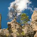 Needles Highway - SD