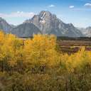 Grand Teton NP - WY