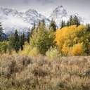 Grand Teton NP - WY