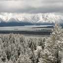 Grand Teton NP - WY