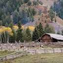 Grand Teton NP - WY