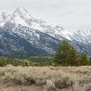 Grand Teton NP - WY