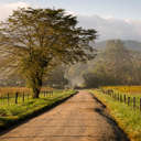 Hyatt Lane - Great Smoky Mountains NP, TN