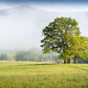 Cades Cove - Great Smoky Mountains NP, TN