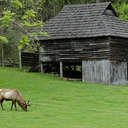 Messer Barn - GSMNP, NC