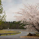 Buford Dam, GA