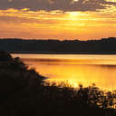 Chincoteague NWR, VA