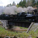 Shay Locomotive - Cass Scenic Railroad, WV