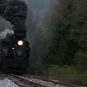 Shay Locomotive - Cass Scenic Railroad, WV