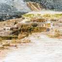 Lower Terraces - Yellowstone NP - WY