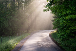 Cades Cove - Great Smoky Mountains NP, TN