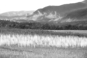 Cades Cove - Great Smoky Mountains NP, TN