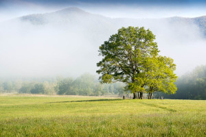 Cades Cove - Great Smoky Mountains NP, TN