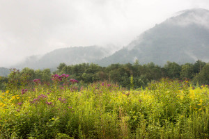 Cades Cove - Great Smoky Mountains NP, TN