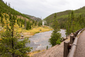 Gibbon River - Yellowstone NP