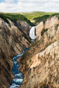 Lower Falls - Yellowstone NP