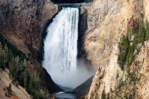 Lower Falls - Yellowstone NP