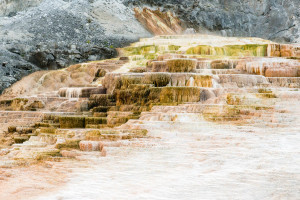 Lower Terraces - Mammoth Hot Springs - Yellowstone NP