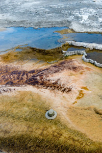 Main Terraces - Mammoth Hot Springs - Yellowstone NP