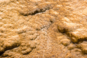 Lower Terraces - Mammoth Hot Springs - Yellowstone NP