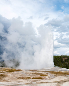 Old Faithful - Yellowstone NP