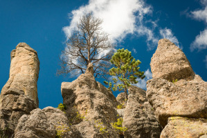 Needles Highway - SD