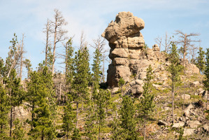 Needles Highway - SD