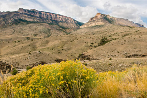 Bighorn National Forest - WY