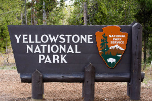 Yellowstone NP - MT