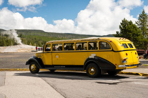 Yellow Bus - Yellowstone NP