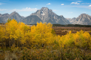 Grand Teton NP - WY