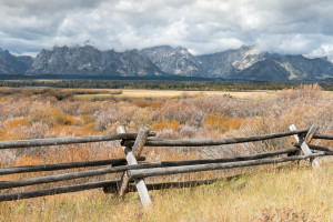 Grand Teton NP - WY