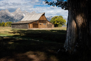 Grand Teton NP - WY