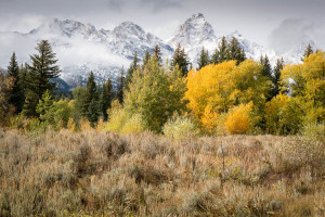 Grand Teton NP - WY