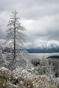 Grand Teton NP - WY