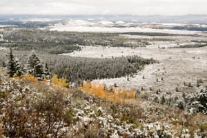 Grand Teton NP - WY