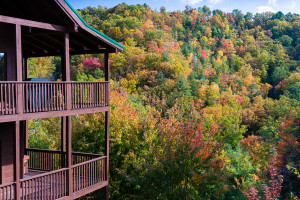 Hatcher Mountain - Wears Valley, TN