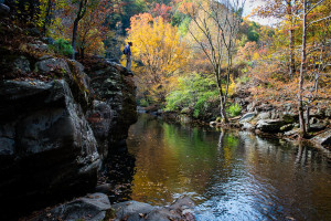 Little River - Great Smoky Mountains NP