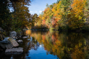 Little River - Great Smoky Mountains NP