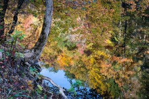 Little River - Great Smoky Mountains NP