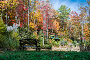 Hatcher Mountain - Wears Valley, TN