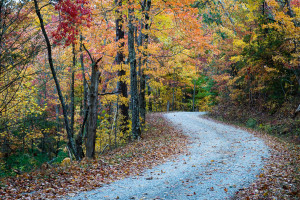 Rich Mountain - Great Smoky Mountains NP