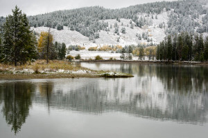 Grand Teton NP - WY