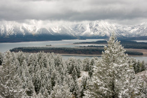 Grand Teton NP - WY