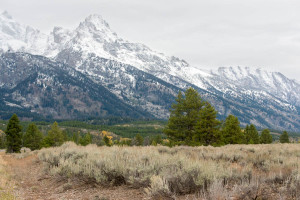 Grand Teton NP - WY