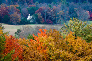 Cades Cove - Great Smoky Mountains NP